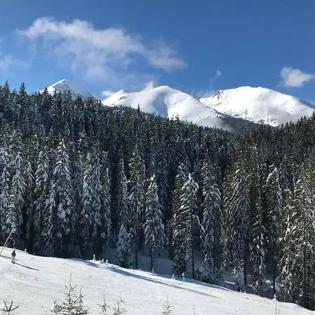 Cedar 3 Bansko
